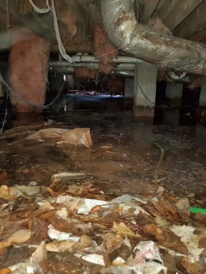 Crawl space flood assessment for Leak Detection & Repair in East Orange
