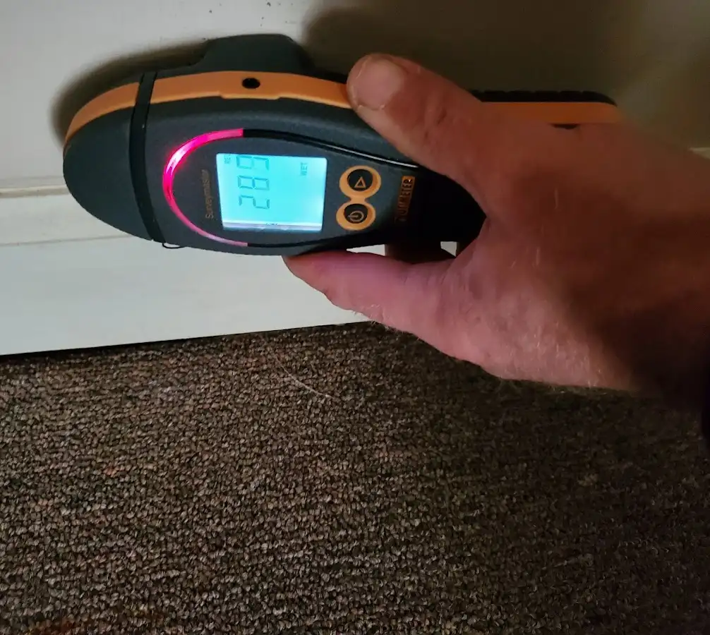 Moisture detection at baseboard during Sewage Cleanup & Sanitation in East Orange